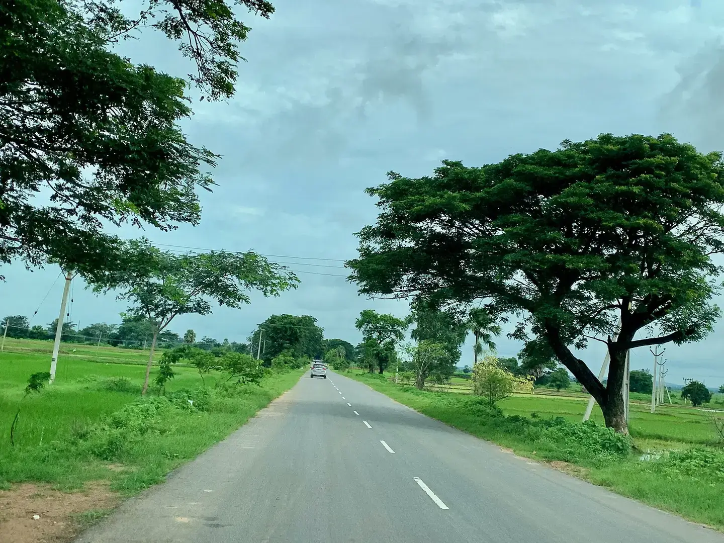 Open fields on the edge of a Telangana village