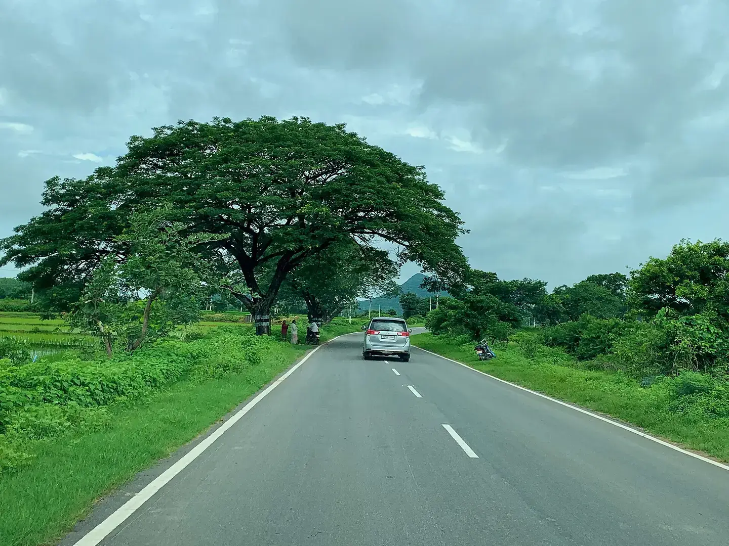 Farmland and trees outside a Telangana village