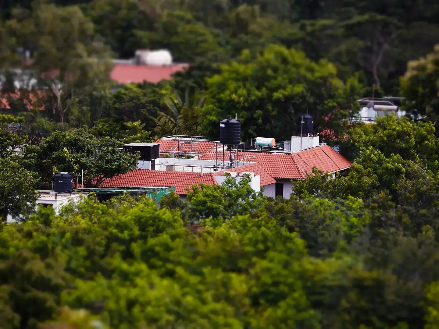 An independent villa in Bharani Layout, Tolichowki